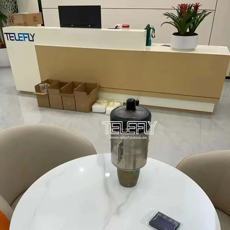 Turbostrahltriebwerk TF-TJ200