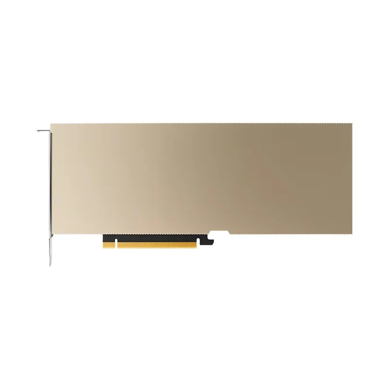 Grafikkarte A10 24g