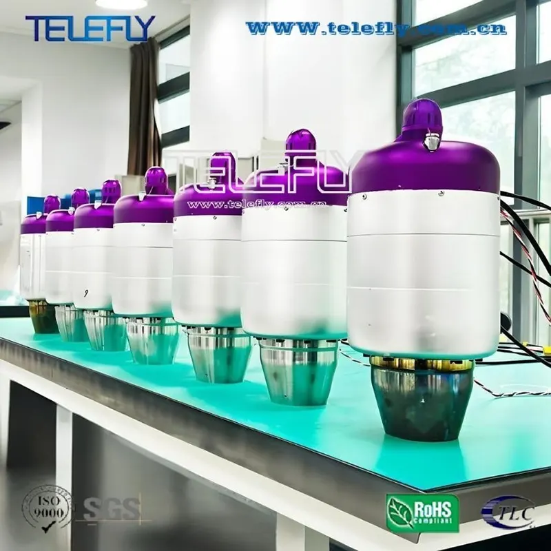 Turbostrahltriebwerk TF-TJ1250